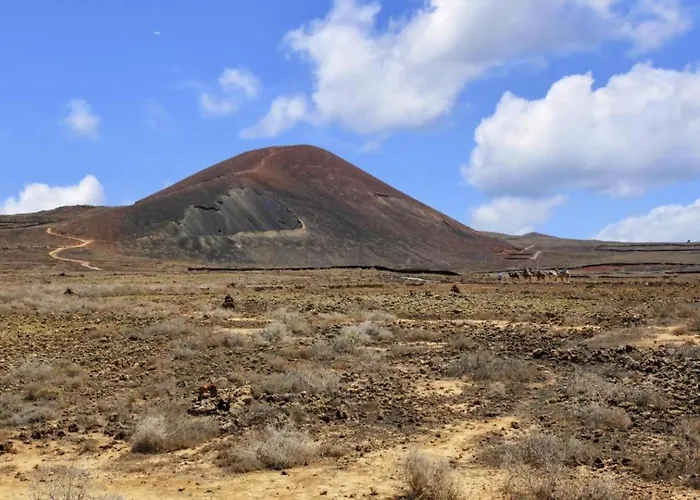 Majanicho Con Piscina *